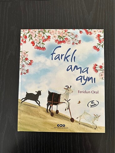 Farklı Ama Aynı