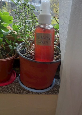 GÜL/ROZA YAĞI, 50ML - Görsel 5