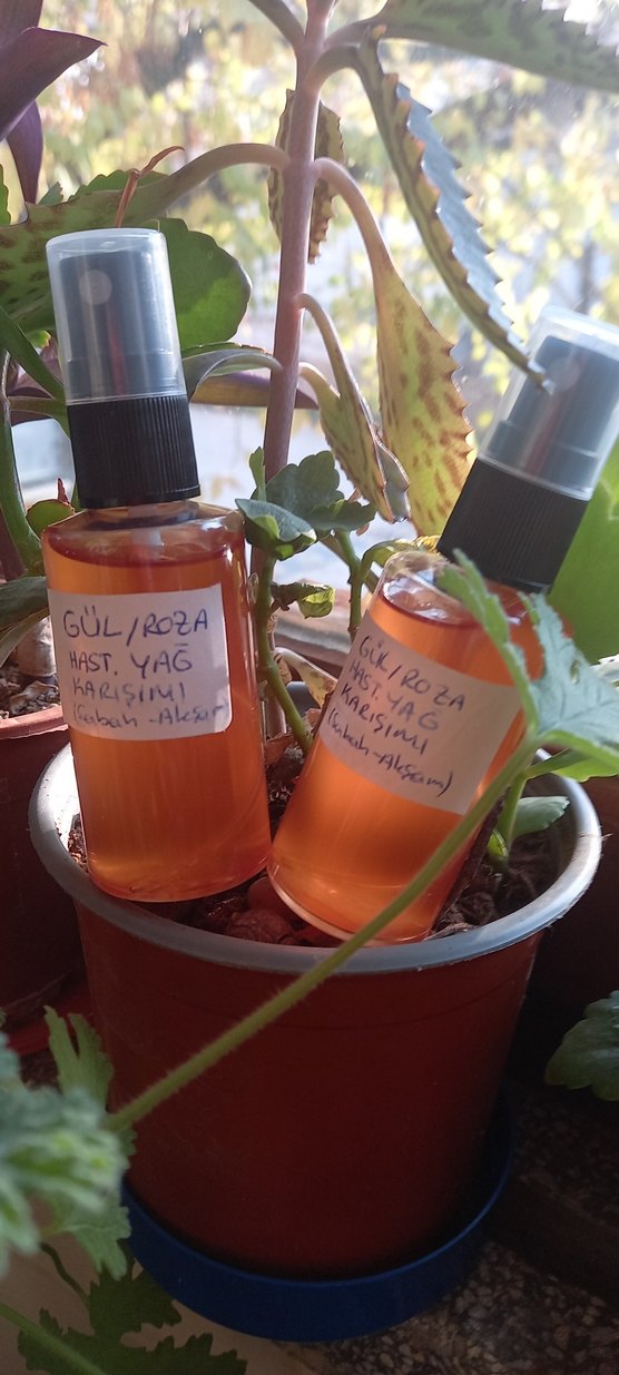 GÜL/ROZA YAĞI, 50ML - Görsel 2