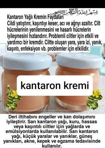 Kantaron Kremi Doğal Bakım Kremi - Görsel 4