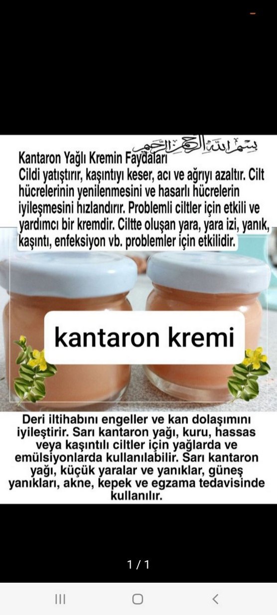 Kantaron Kremi Doğal Bakım Kremi - Görsel 4