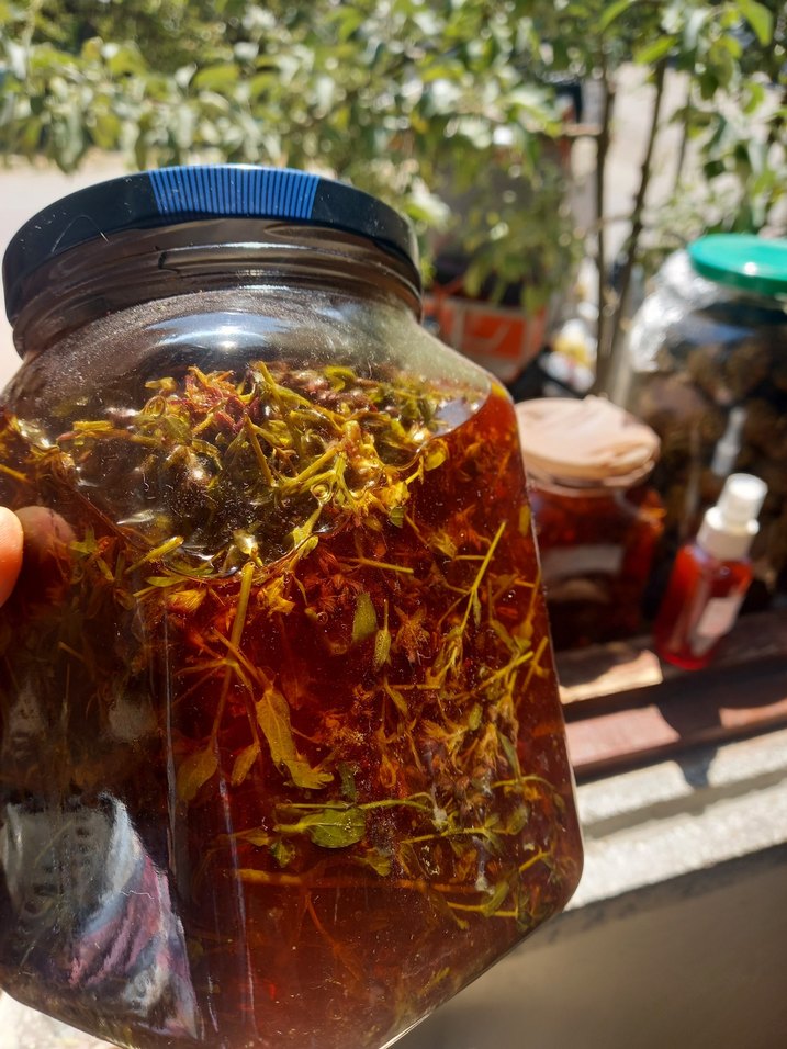 Kantaron Yağı 100 ml - Görsel 2