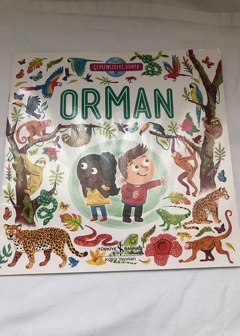 Çevremizdeki Dünya: Orman ve Okyanus Kitapları - Görsel 4