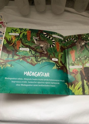 Çevremizdeki Dünya: Orman ve Okyanus Kitapları - Görsel 7