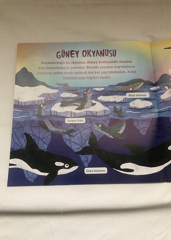 Çevremizdeki Dünya: Orman ve Okyanus Kitapları - Görsel 8