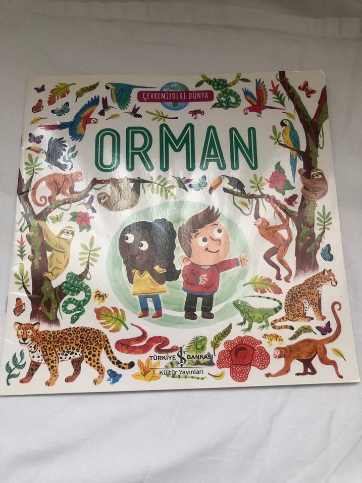 Çevremizdeki Dünya: Orman ve Okyanus Kitapları - Görsel 4