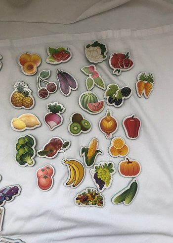 DIYTOY marka manyetik hayvanlar, taşıtlar, meyve ve sebzeler - Görsel 5