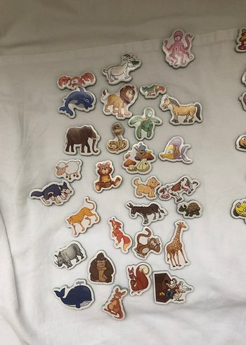 DIYTOY marka manyetik hayvanlar, taşıtlar, meyve ve sebzeler - Görsel 3