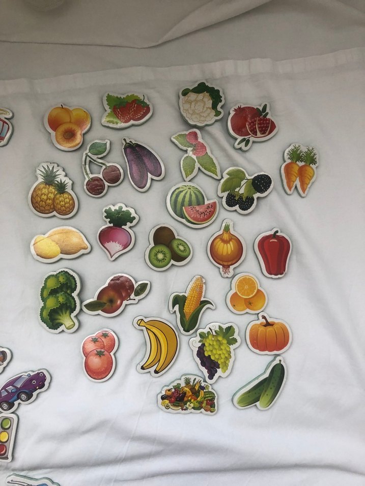 DIYTOY marka manyetik hayvanlar, taşıtlar, meyve ve sebzeler - Görsel 5