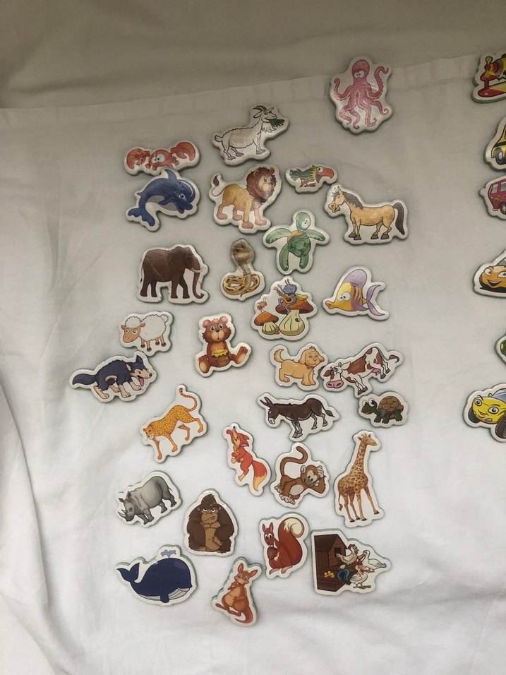 DIYTOY marka manyetik hayvanlar, taşıtlar, meyve ve sebzeler - Görsel 3