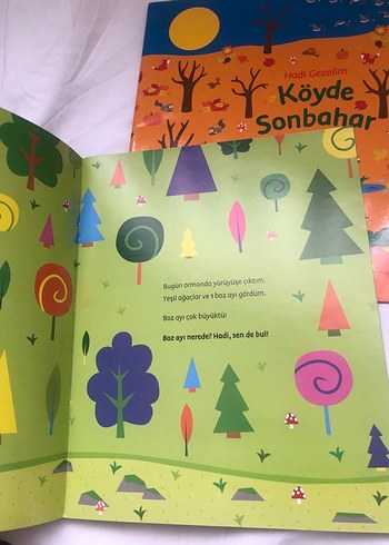 Hadi Gezelim Serisi: Şehirde, Ormanda, Yaz, Köyde Kitapları - Görsel 9