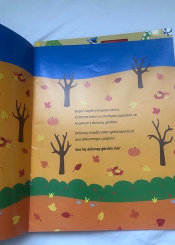 Hadi Gezelim Serisi: Şehirde, Ormanda, Yaz, Köyde Kitapları - Görsel 6