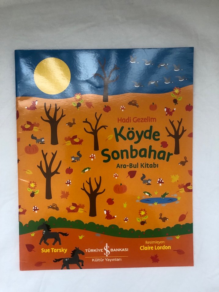 Hadi Gezelim Serisi: Şehirde, Ormanda, Yaz, Köyde Kitapları - Görsel 2