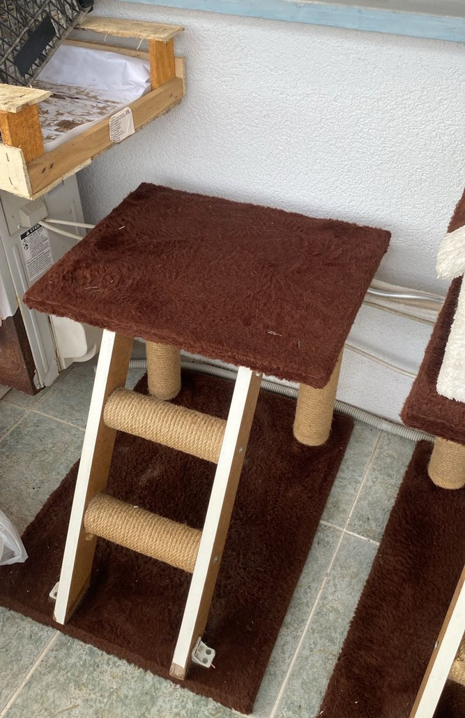 Açıklamayı okuyunuz kedi tırmalama evi - Görsel 2