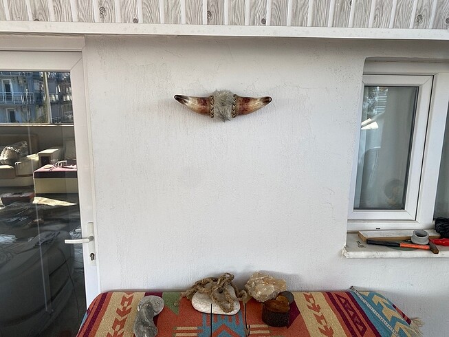  Beden doğal boynuz