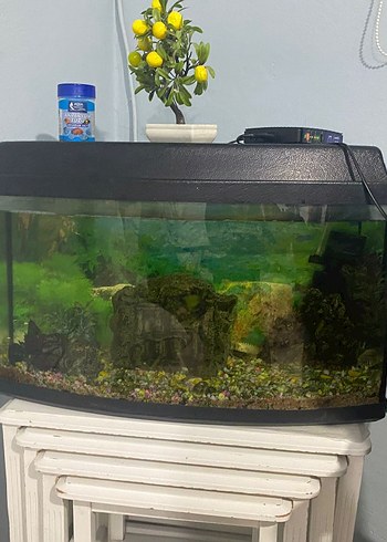 Koyu Yeşil Akvaryum Seti - Görsel 3