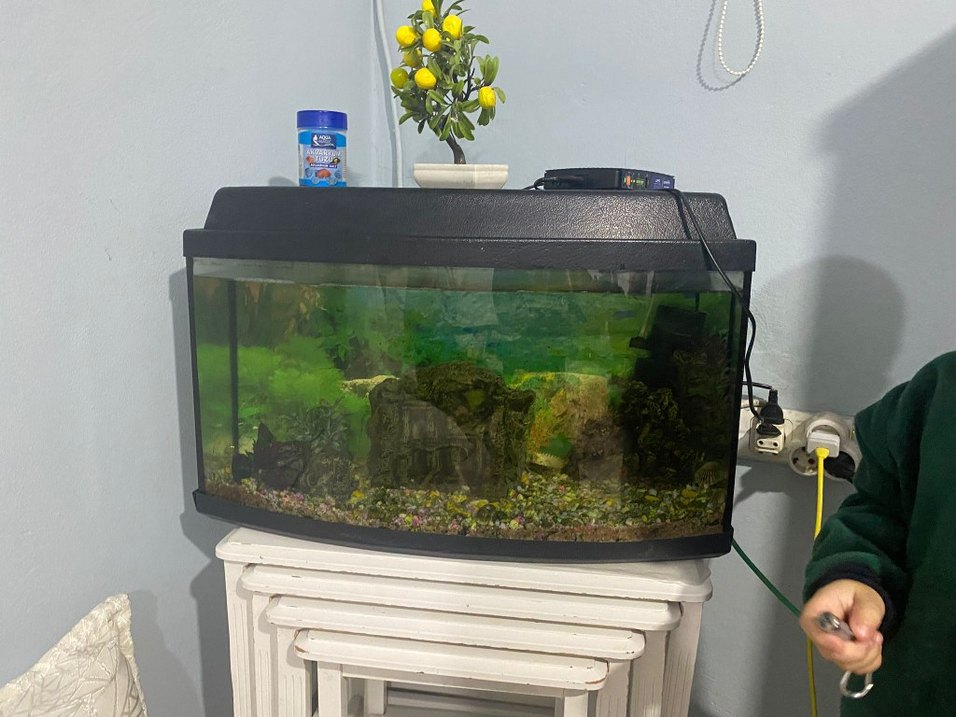 Koyu Yeşil Akvaryum Seti - Görsel 3