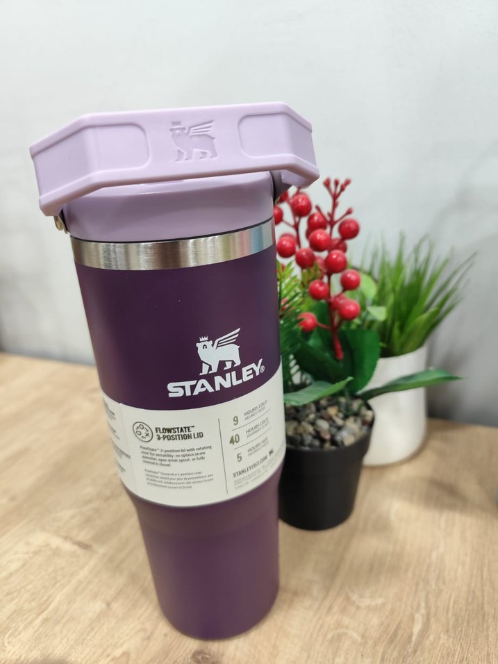 Stanley Pembe Termos Matara Çocuklar için - Görsel 4