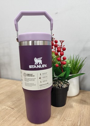 Renkli Pembe Stanley Çocuk Termosu - Görsel 6