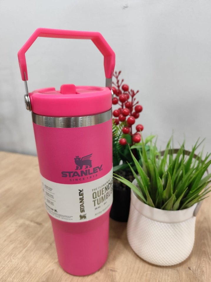 Renkli Pembe Stanley Çocuk Termosu - Görsel 4