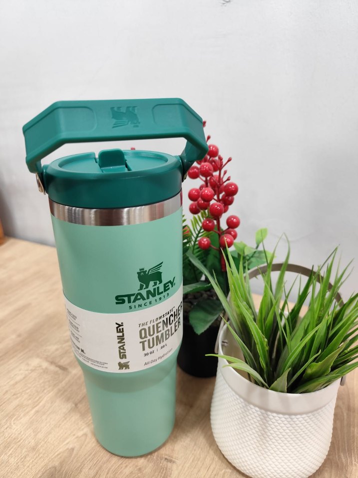 Renkli Pembe Stanley Çocuk Termosu - Görsel 2