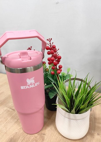 Pastel Pembe Çocuk Termosu Stanley - Görsel 2