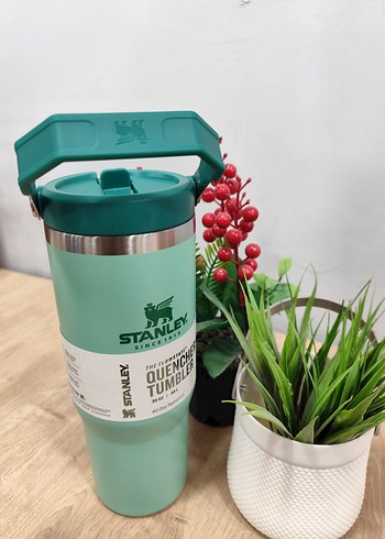 Pastel Pembe Çocuk Termosu Stanley - Görsel 4