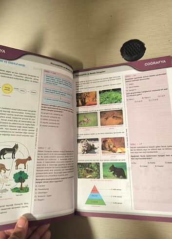  12. Sınıf Coğrafya test kitabı 