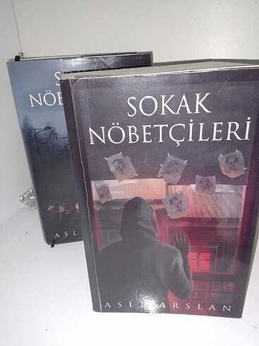 Aslı arslan- sokak nöbetçileri - Görsel 2
