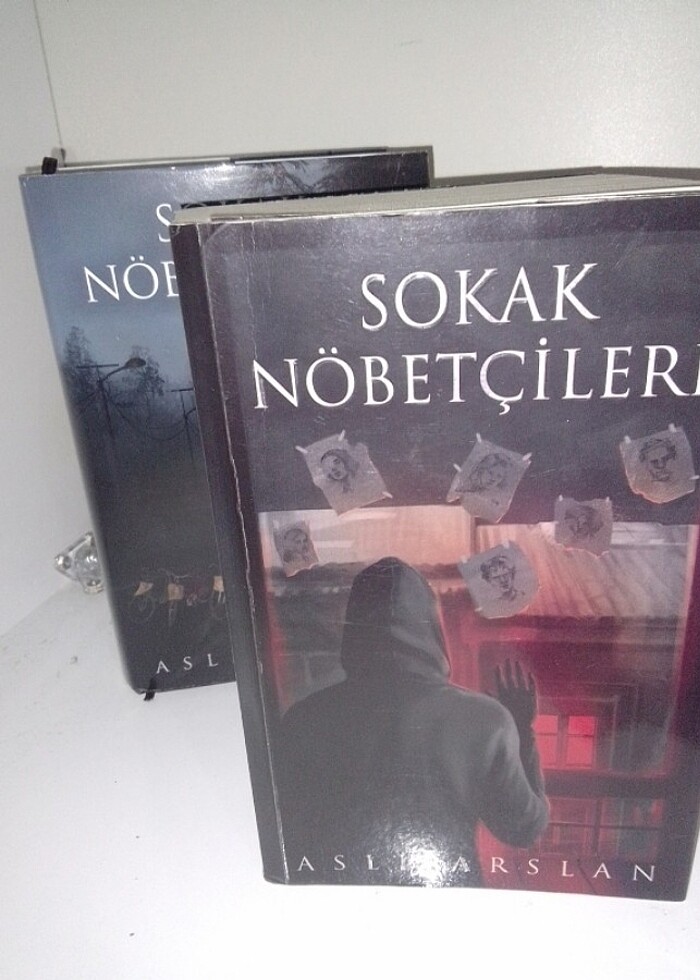 Aslı arslan- sokak nöbetçileri - Görsel 2