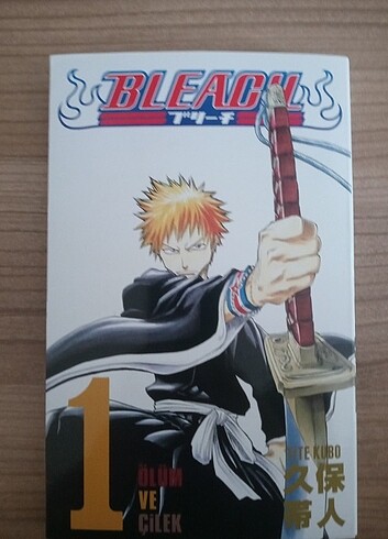 Bleach 1