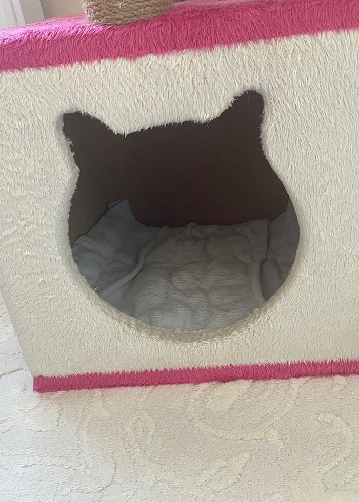 Kedi Evi - Görsel 2