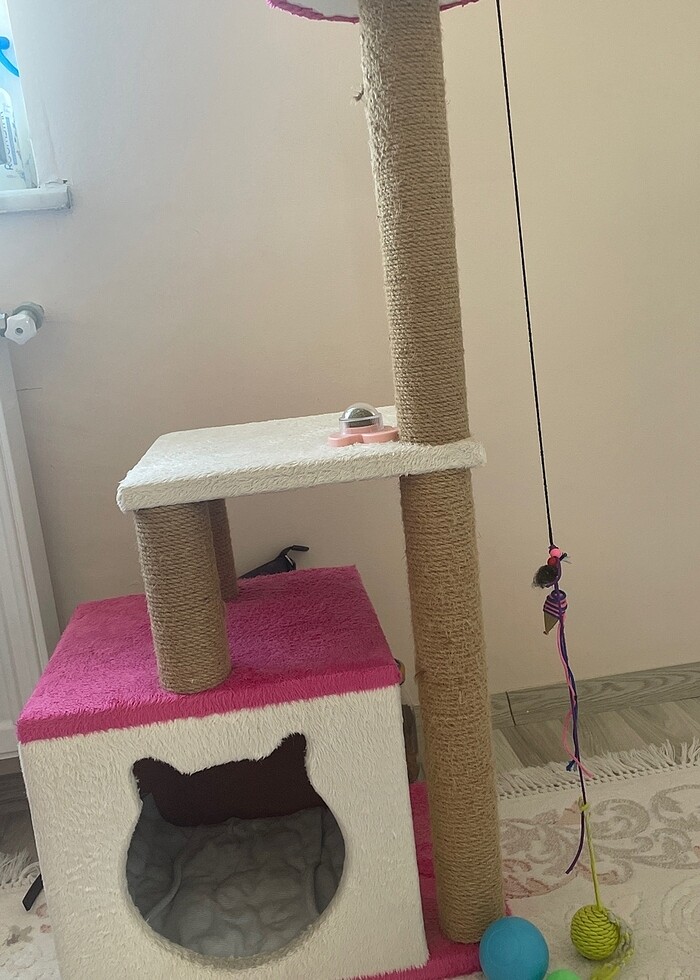 Kedi Evi - Görsel 3