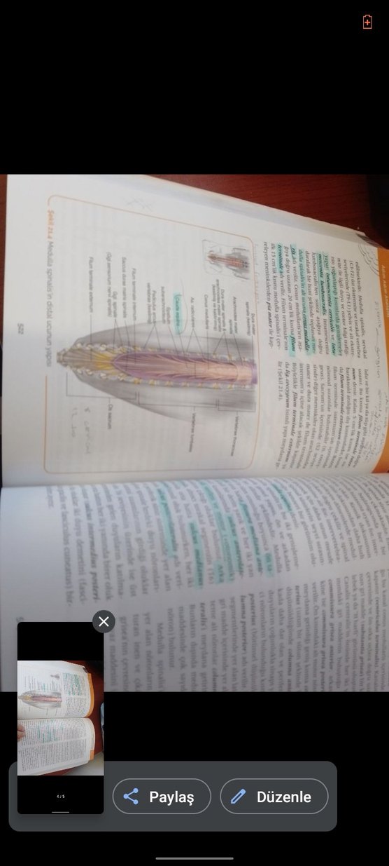 Adım Adım Anatomi ürün - Görsel 2