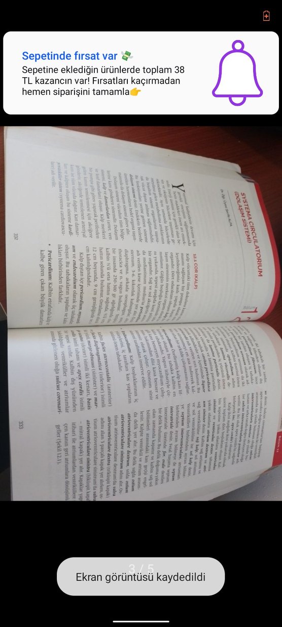 Adım Adım Anatomi ürün - Görsel 4