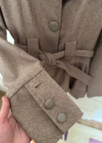 Kahverengi Kuşaklı Kaban - Görsel 2