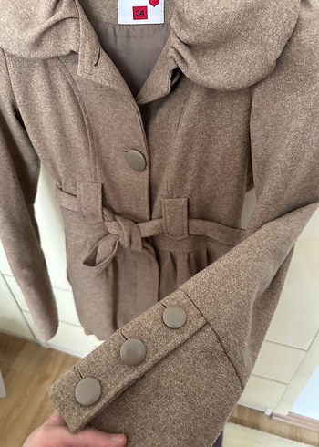 Kahverengi Kuşaklı Kaban - Görsel 5