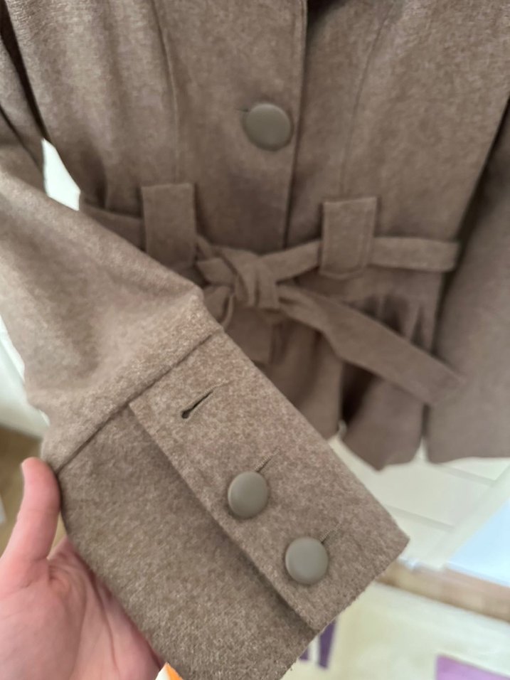 Kahverengi Kuşaklı Kaban - Görsel 2