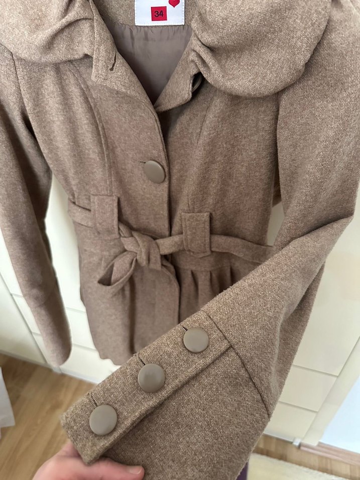 Kahverengi Kuşaklı Kaban - Görsel 5