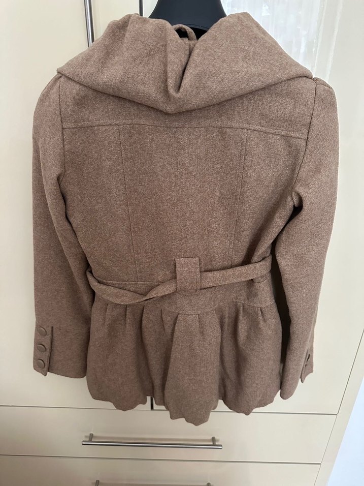 Kahverengi Kuşaklı Kaban - Görsel 3