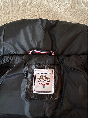 U.S Polo Assn. U.S. POLO ASS. Mont