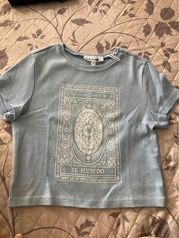 koton crop