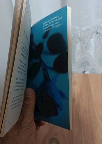 Beden Renk Gönülde Gül Telaşı - Yusuf Dursun