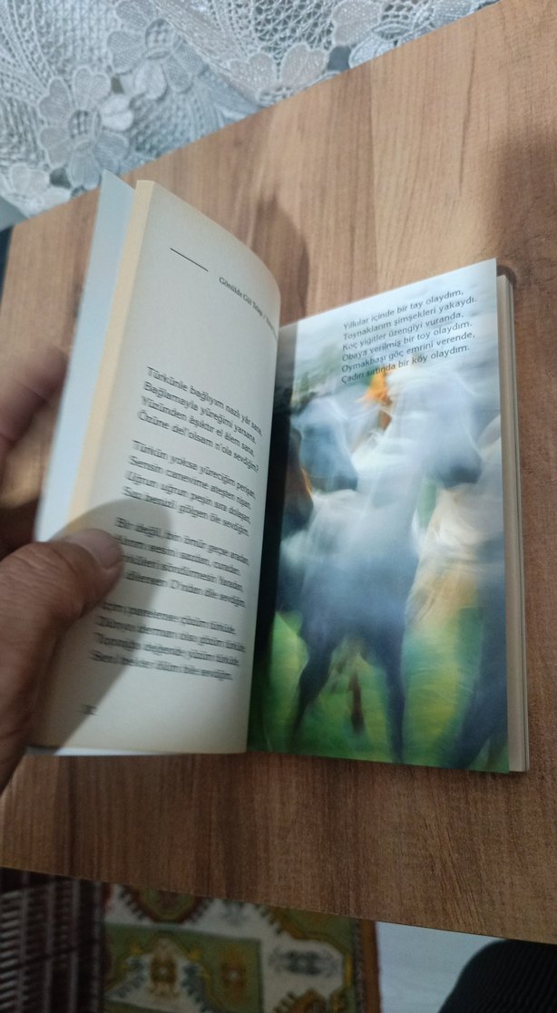 Gönülde Gül Telaşı - Yusuf Dursun - Görsel 3