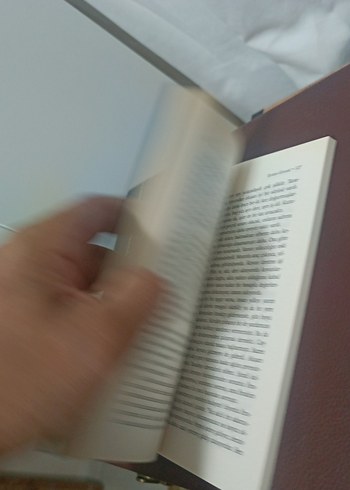  Beden Renk Elveda Gülşarı - Cengiz Aytmatov