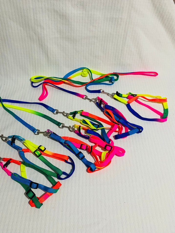 Renkli Kedi Köpek Göğüs Tasması - Görsel 2