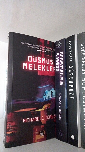 düşmüş melekler