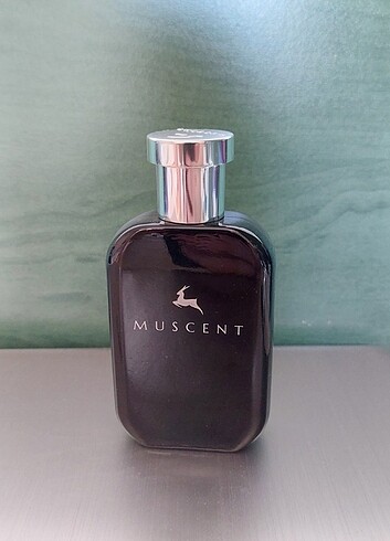 Muscent F149 lightblue intense
