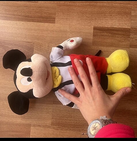 Walt Disney World Mickey mouse