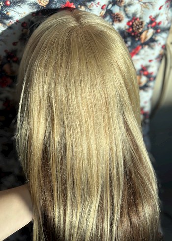 İpek taban sarı tepelik - Görsel 13